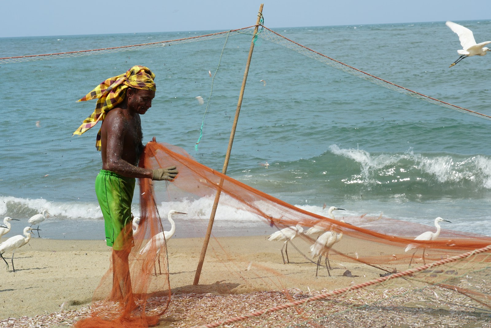Negombo, Sri Lanka